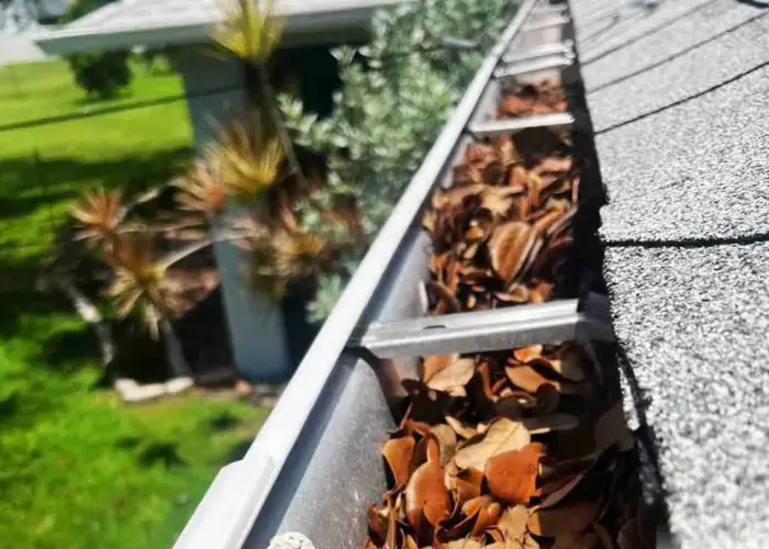 Arlington gutter cleaning home page